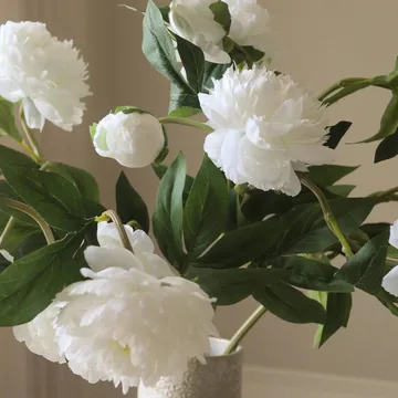Pioner ramo artificial - Médio, branco 5 un. - Botané