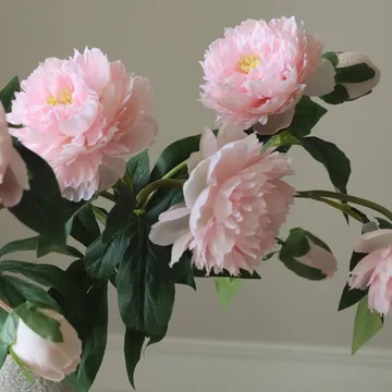 Pioner ramo artificial - Médio, rosa, 5 un. - Botané