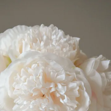 Pioner ramo artificial - Mini, cream 10 un. - Botané