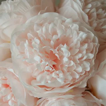 Pioner ramo artificial - Mini, rosa-claro 10 ts - Botané