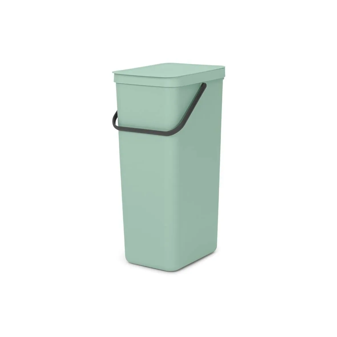 Caixote de lixo Sort & Go 40 L Brabantia