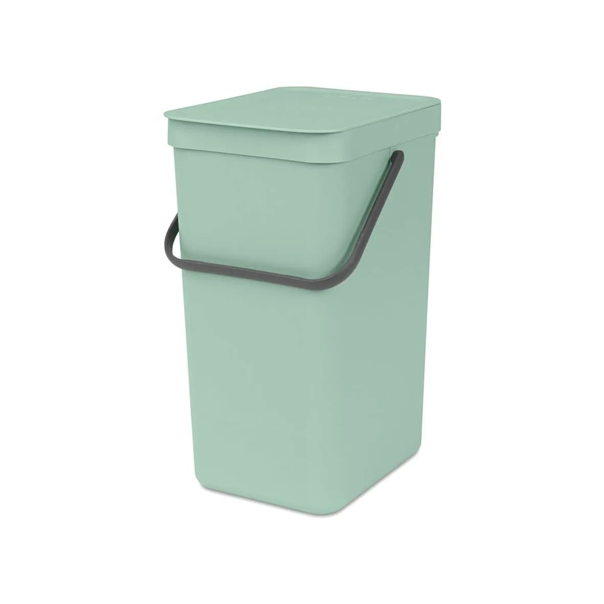 Caixote do lixo Sort & Go 16L Brabantia