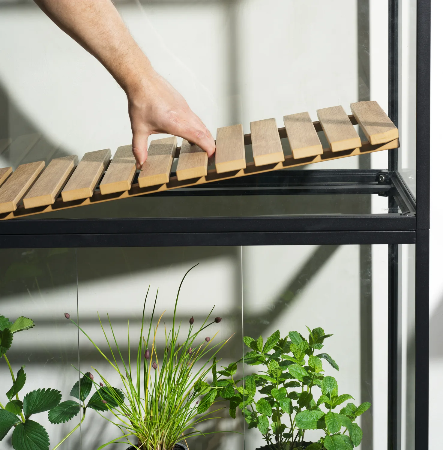 Armário de plantas Grower Greens, Preto, 81x137 cm Brafab