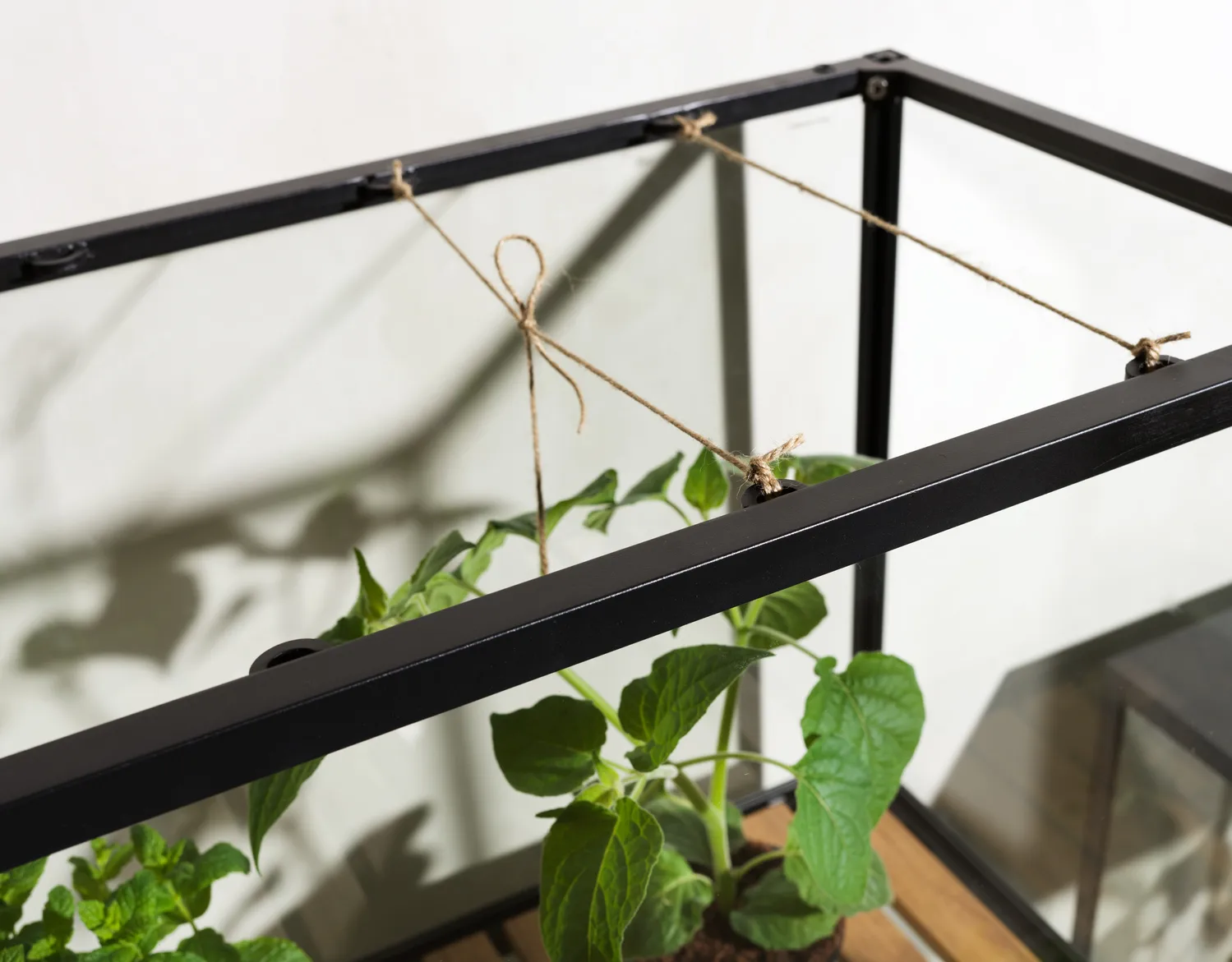 Armário de plantas Grower Greens, Preto, 81x137 cm Brafab