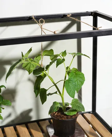 Armário de plantas Grower Greens - Preto, 81x137 cm - Brafab