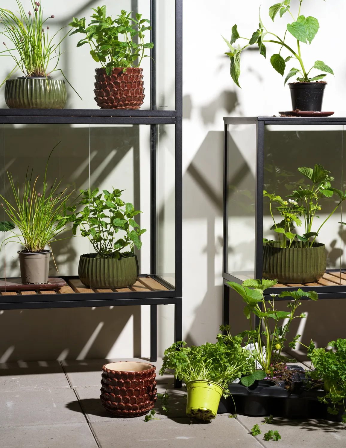 Armário de plantas Grower Greens, Preto, 81x82 cm Brafab