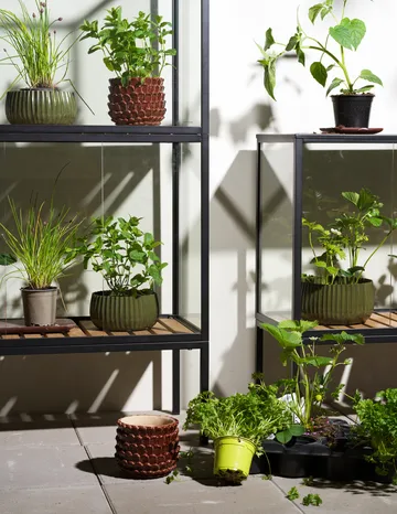 Armário de plantas Grower Greens - Preto, 81x82 cm - Brafab