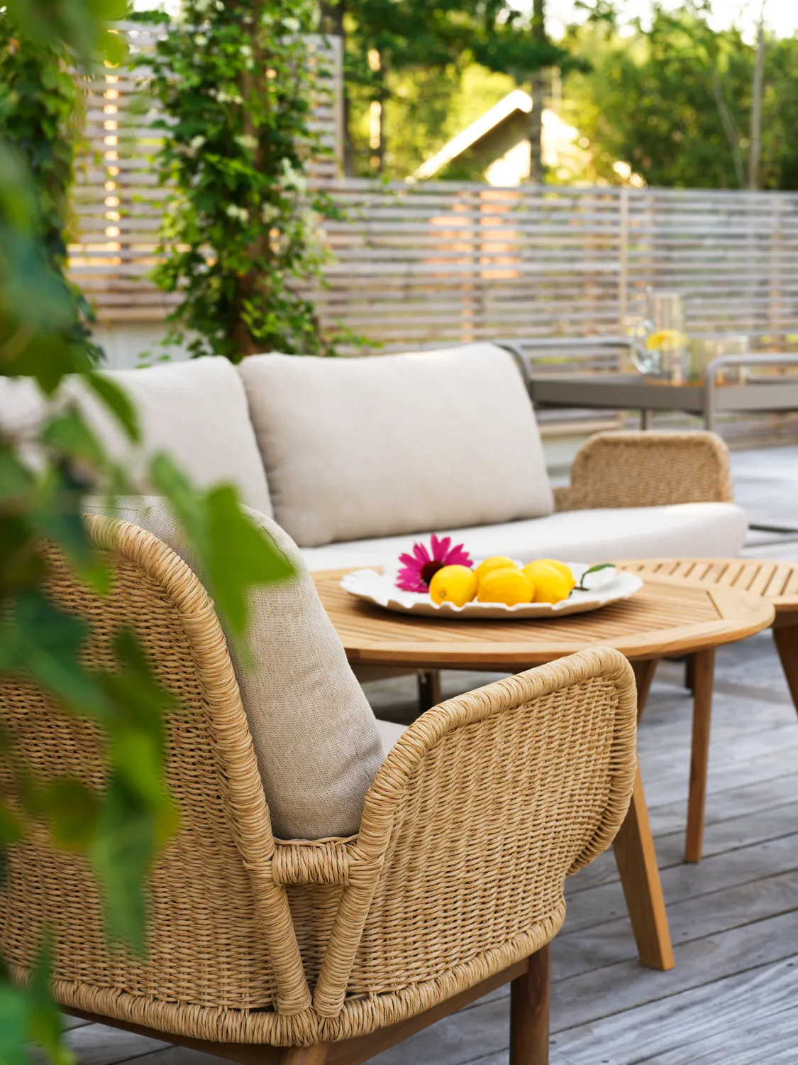 Lily sofá, Twist straw-plush wheat, 2,5 lugares Brafab