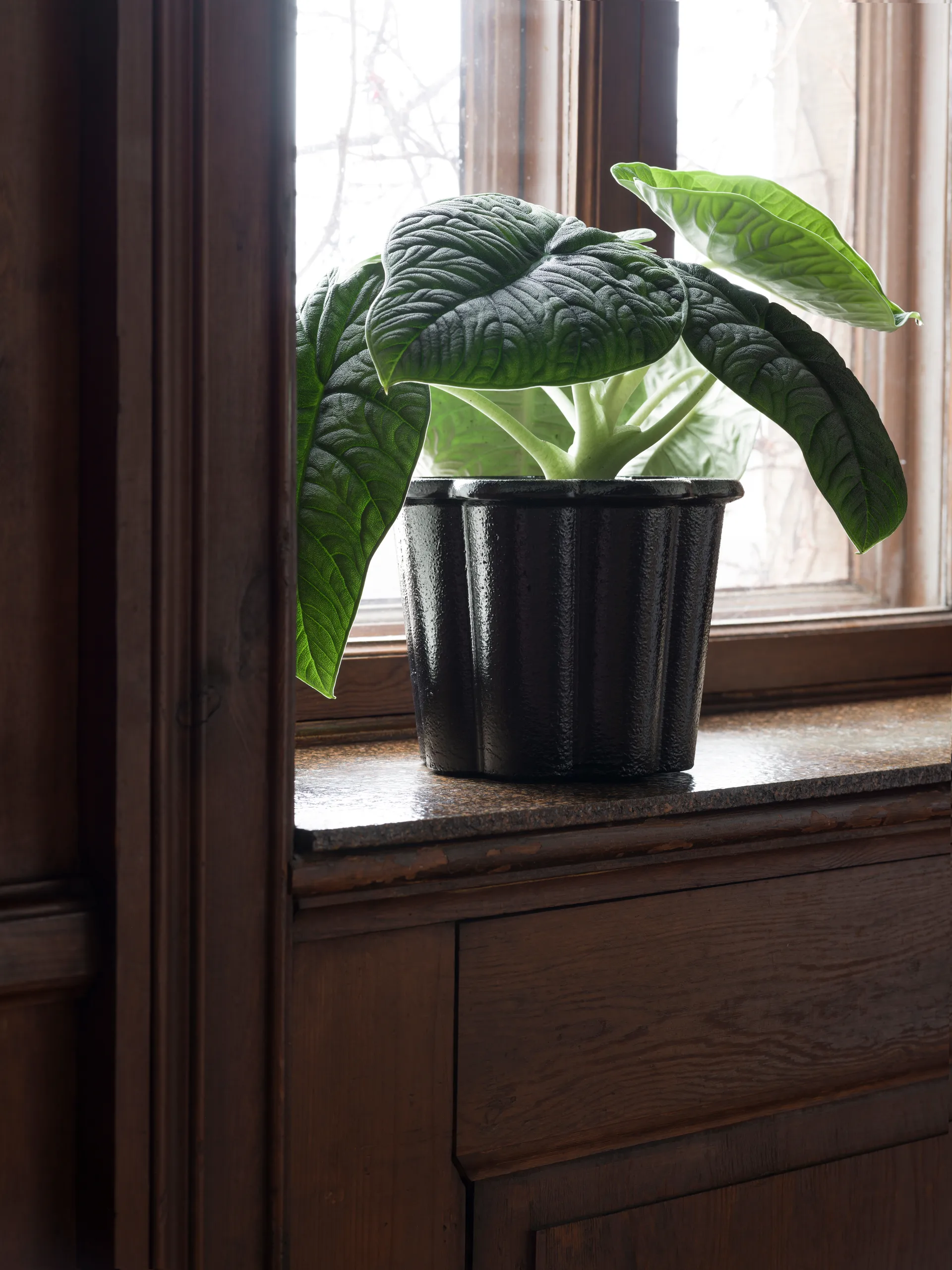 Vaso alto Fjällsippa Ø26x21 cm, Preto Byarums bruk