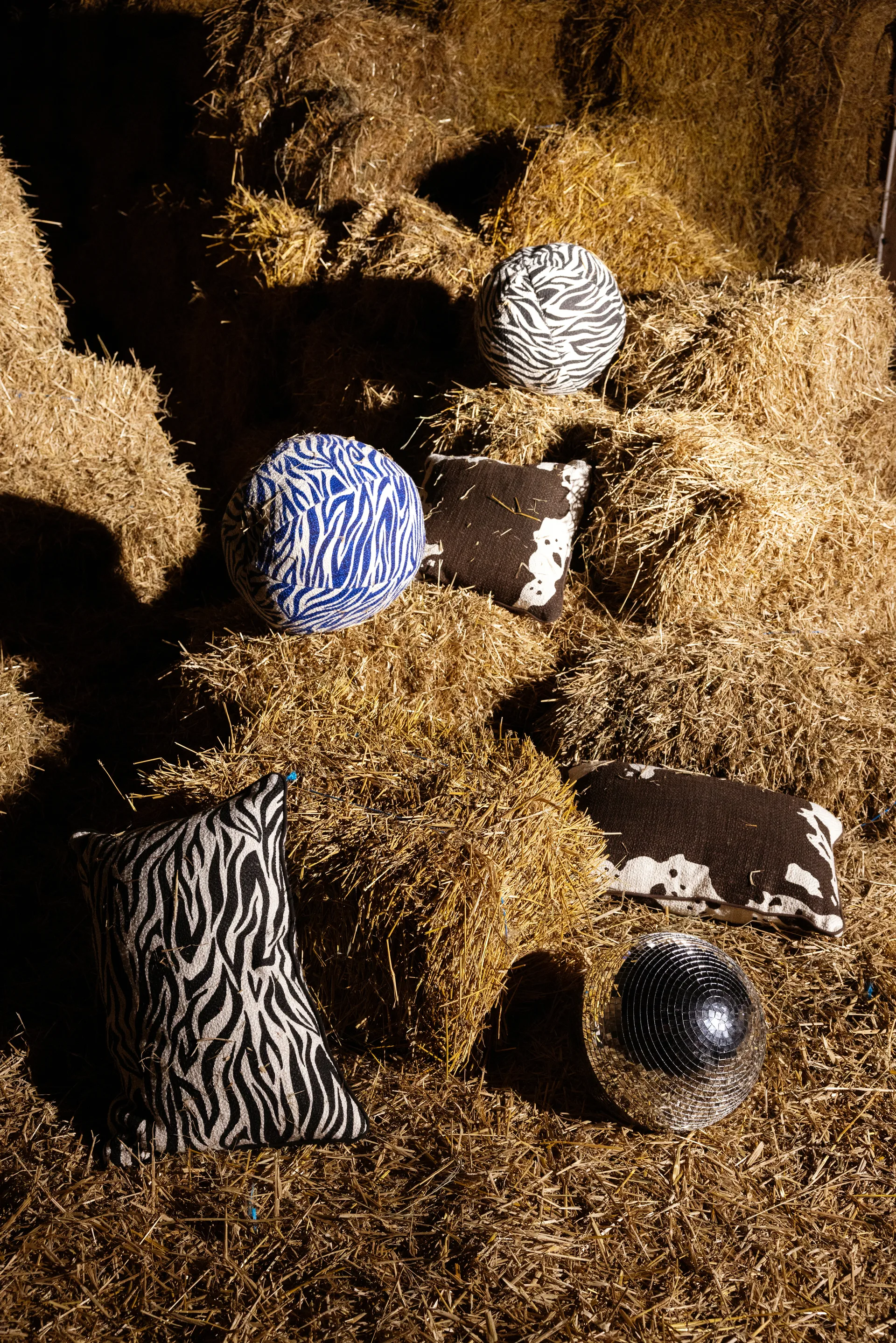 Anima almofada Ø35 cm, Zebra-azul Byon