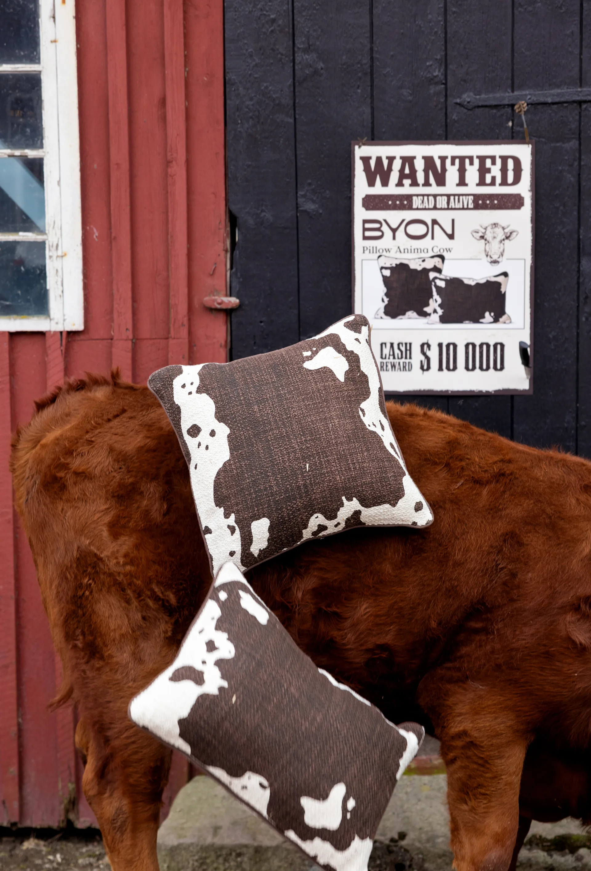 Anima almofada L 40x60 cm, Vaca Byon