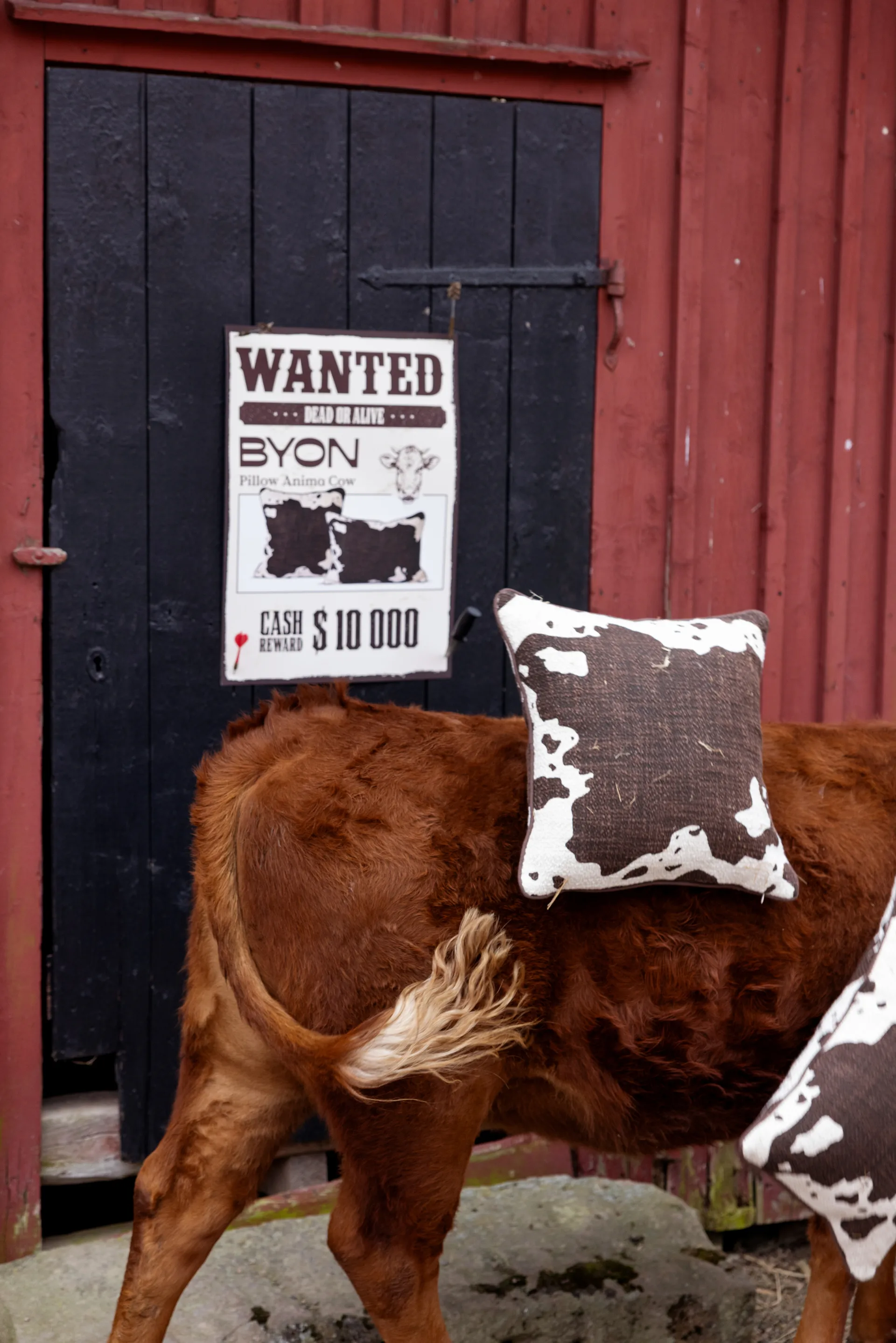 Anima almofada M 50x50 cm, Vaca Byon