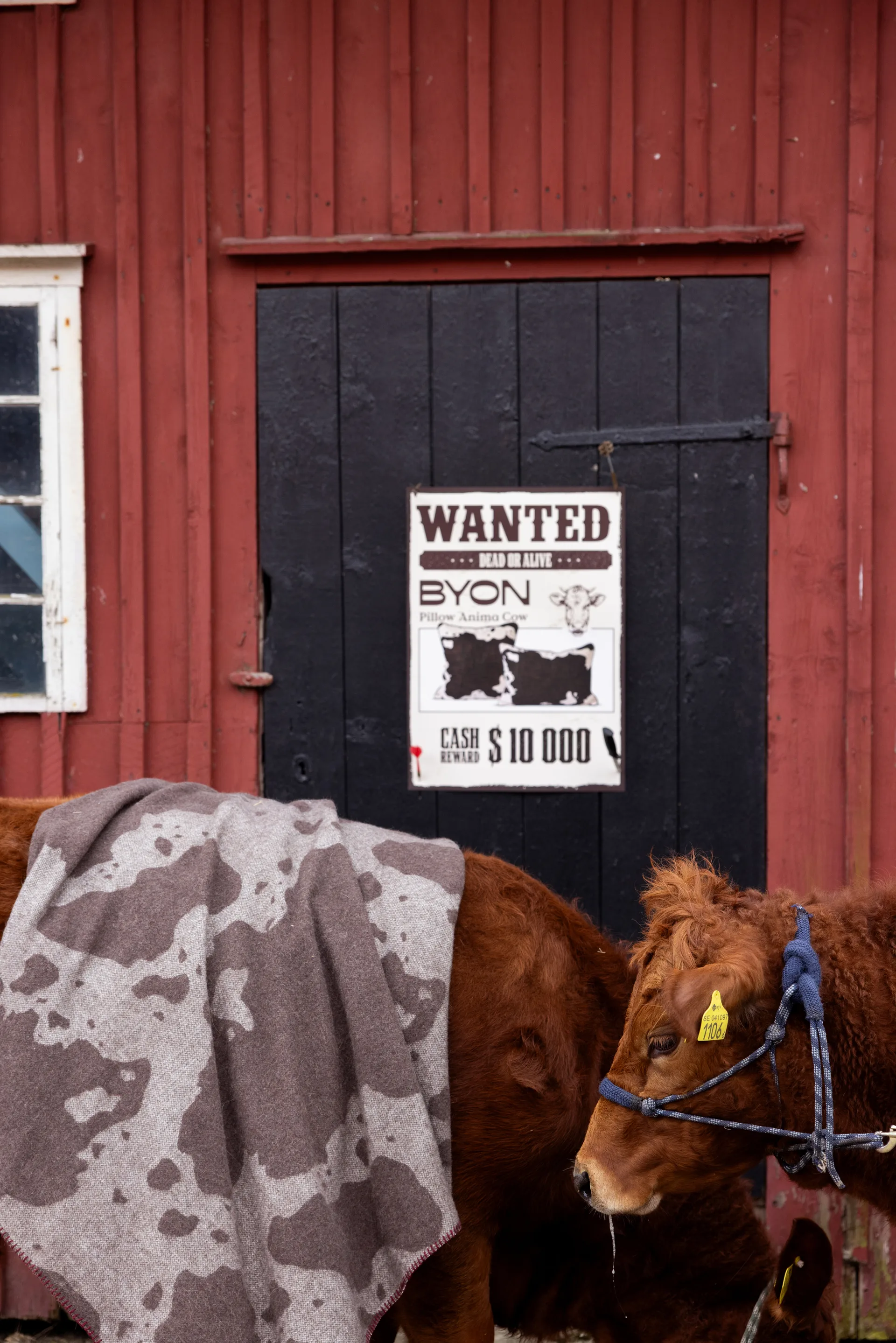 Anima manta 130x200 cm, Vaca Byon