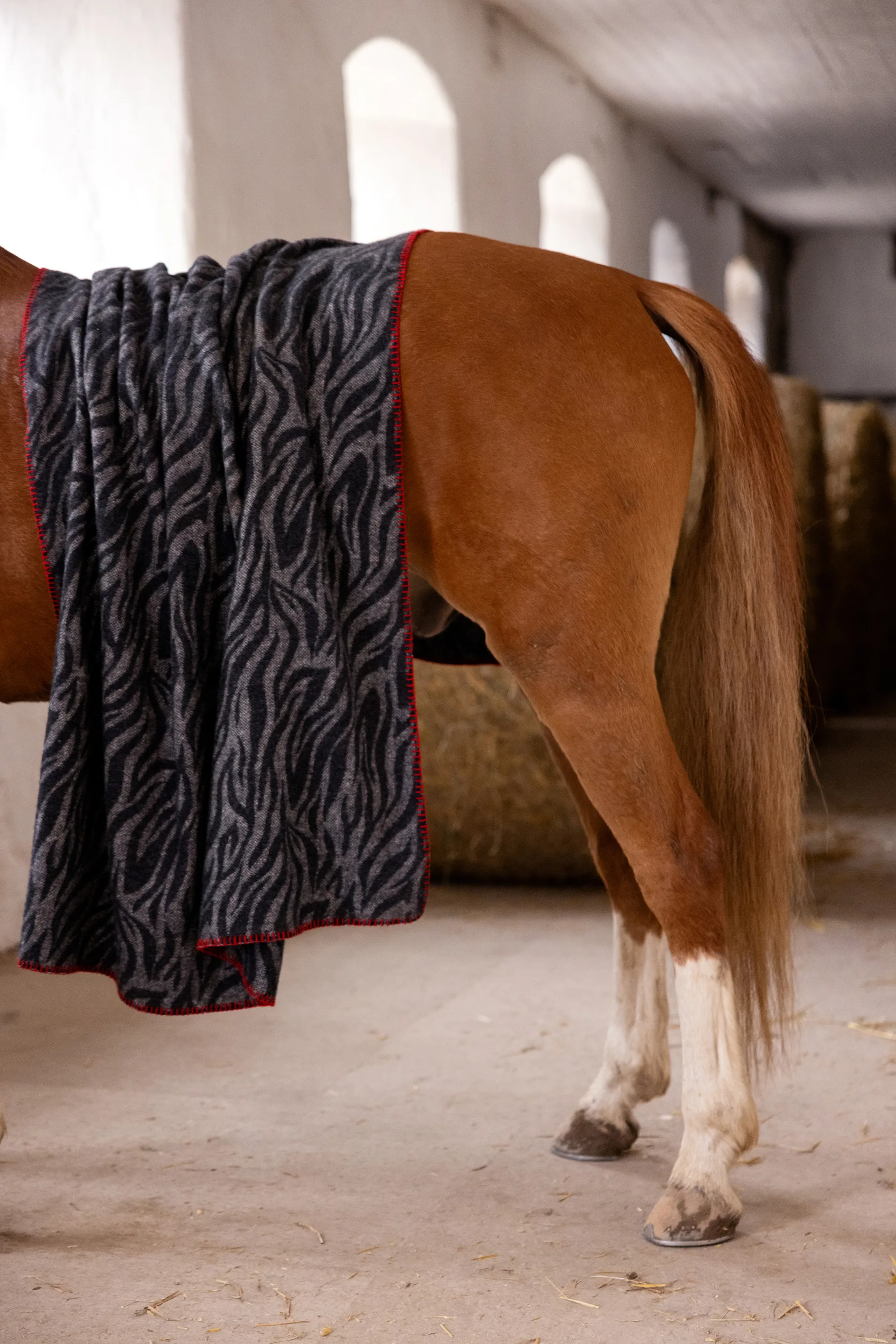 Anima manta 130x200 cm, Zebra Byon