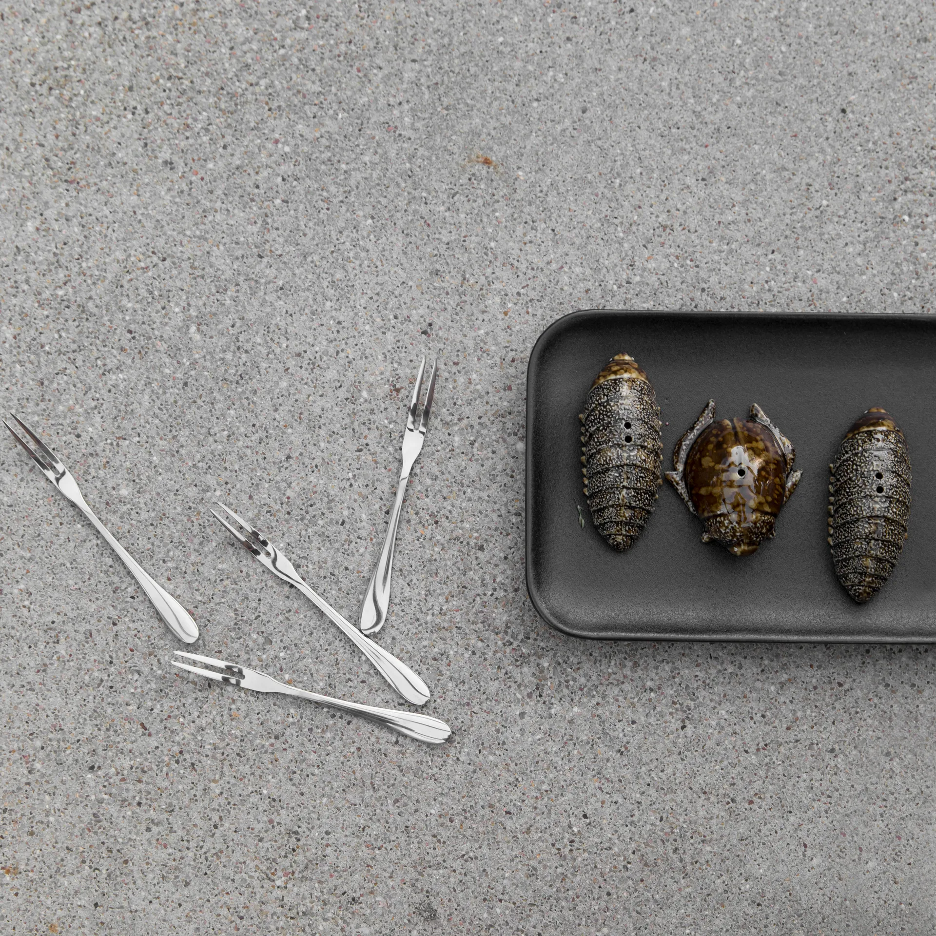 Saleiro & pimenteiro Beetles, brown Byon