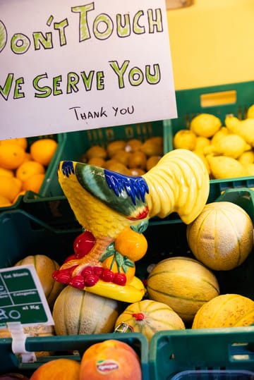 Tigela Fruity Rooster - Amarelo - Byon