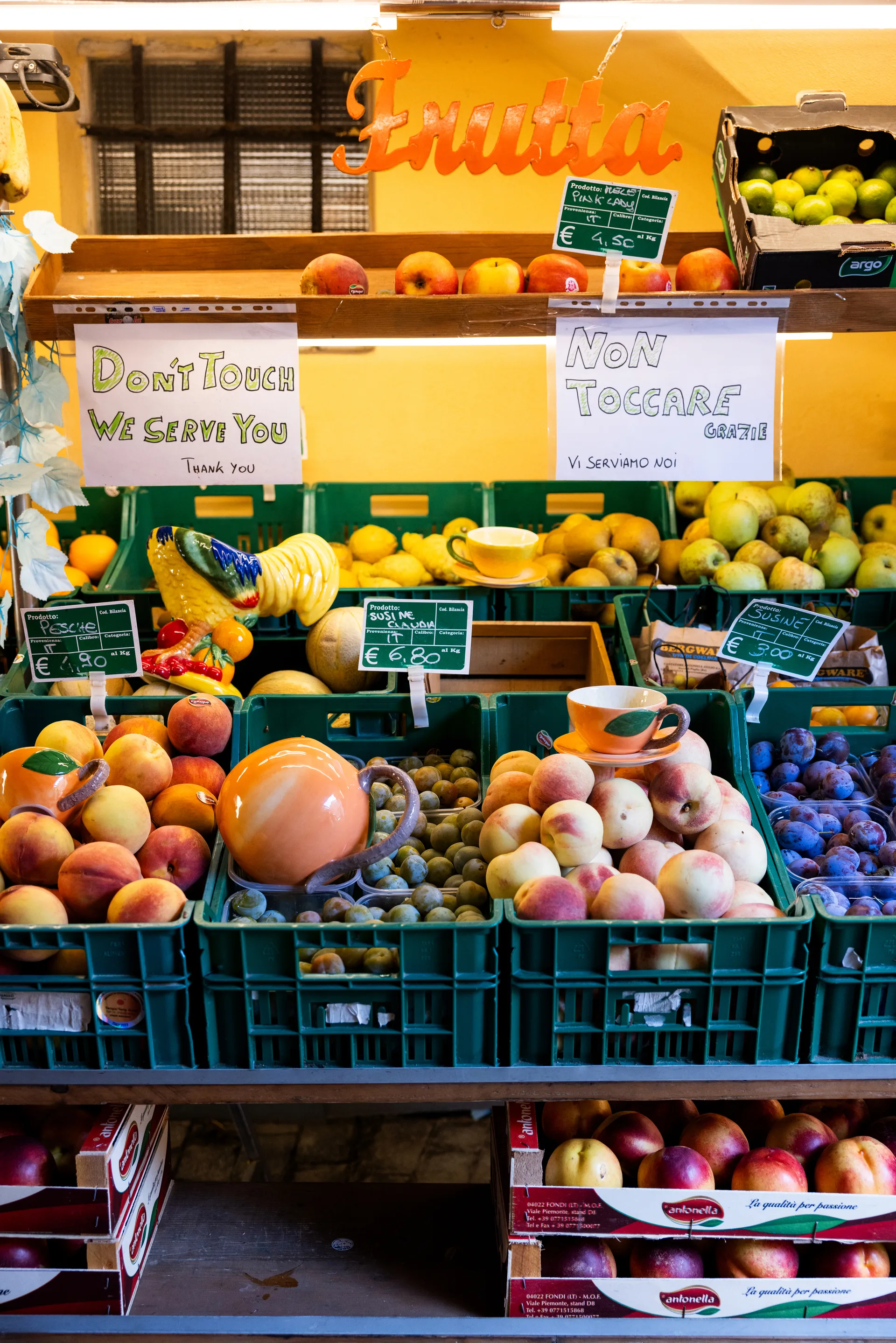 Tigela Fruity Rooster, Amarelo Byon