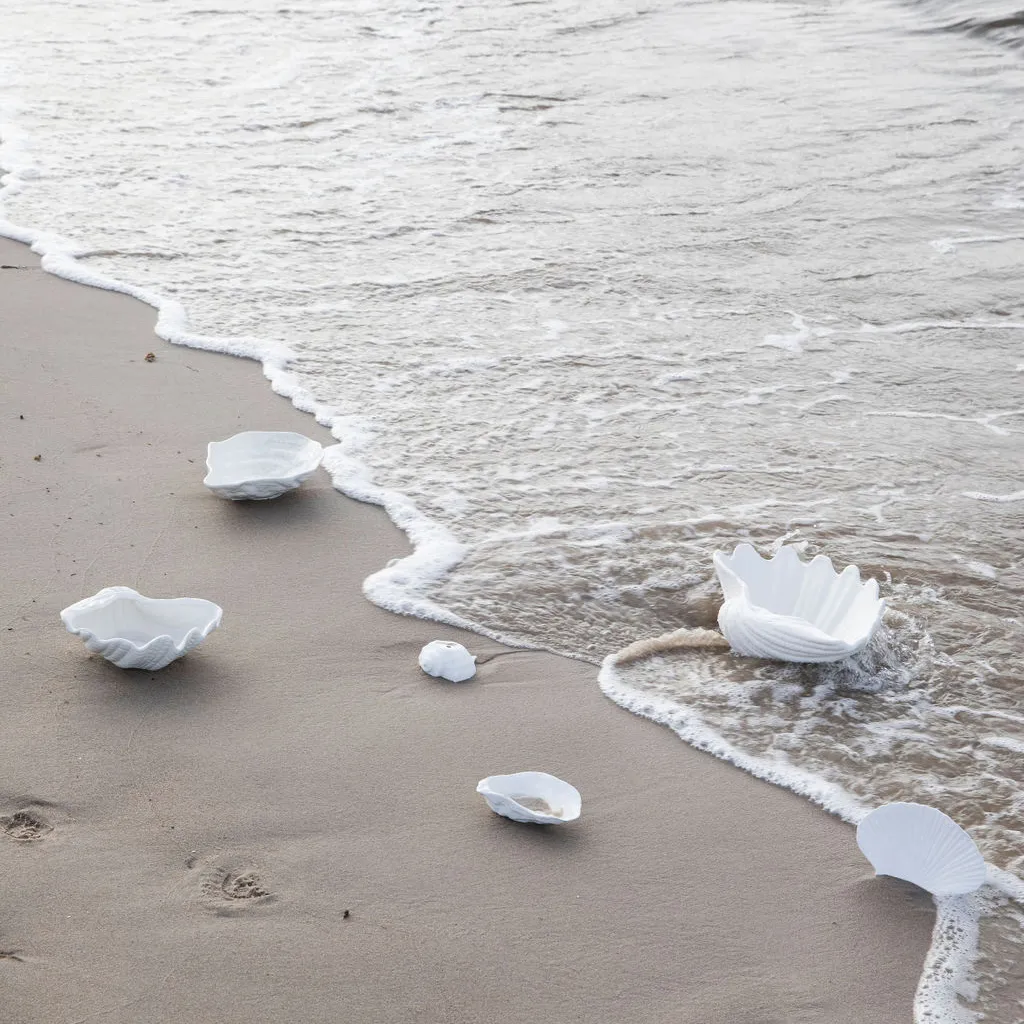 Tigela Shell, 13 x 23 cm Byon