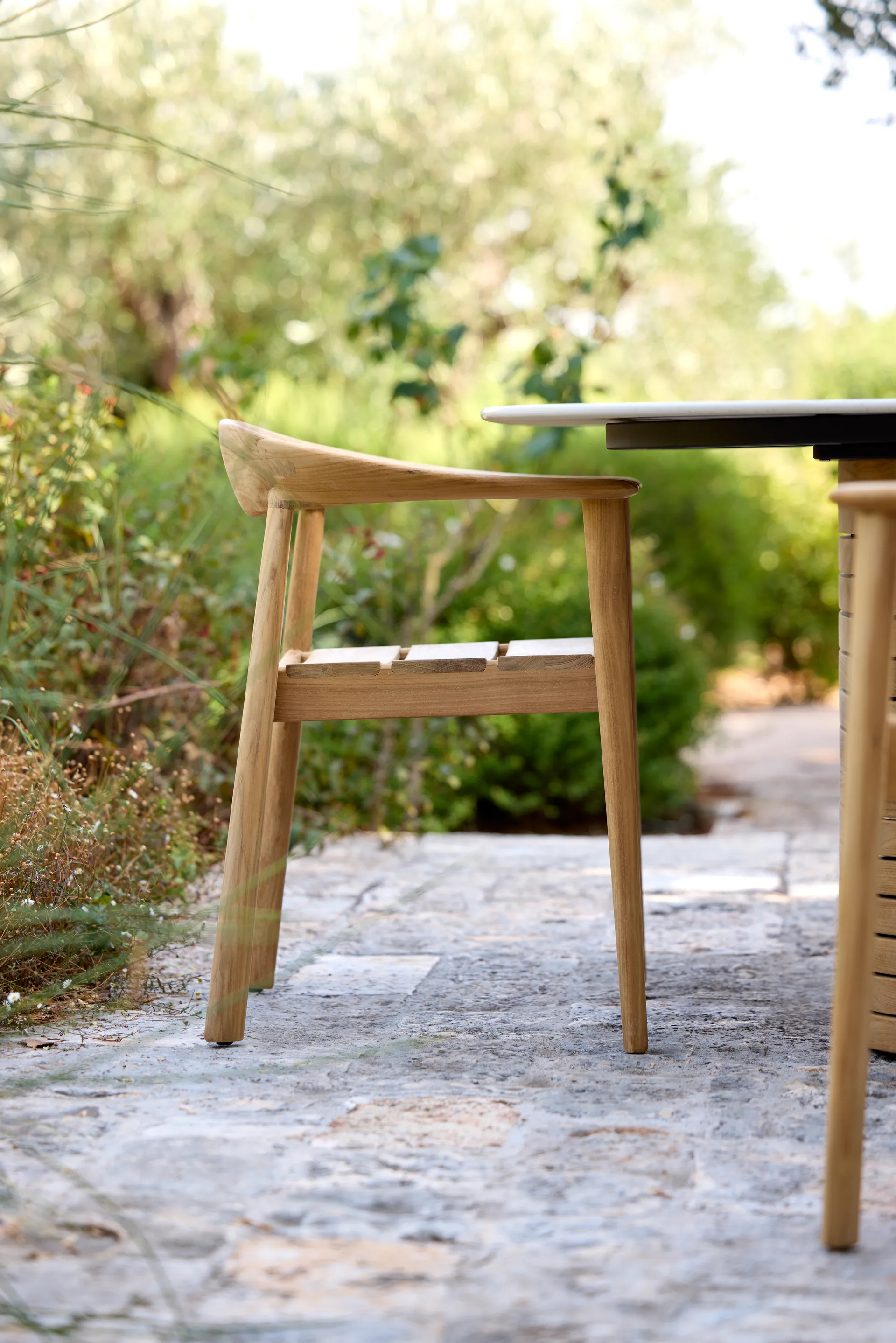 Majestic cadeira de braços, Teca Cane-line