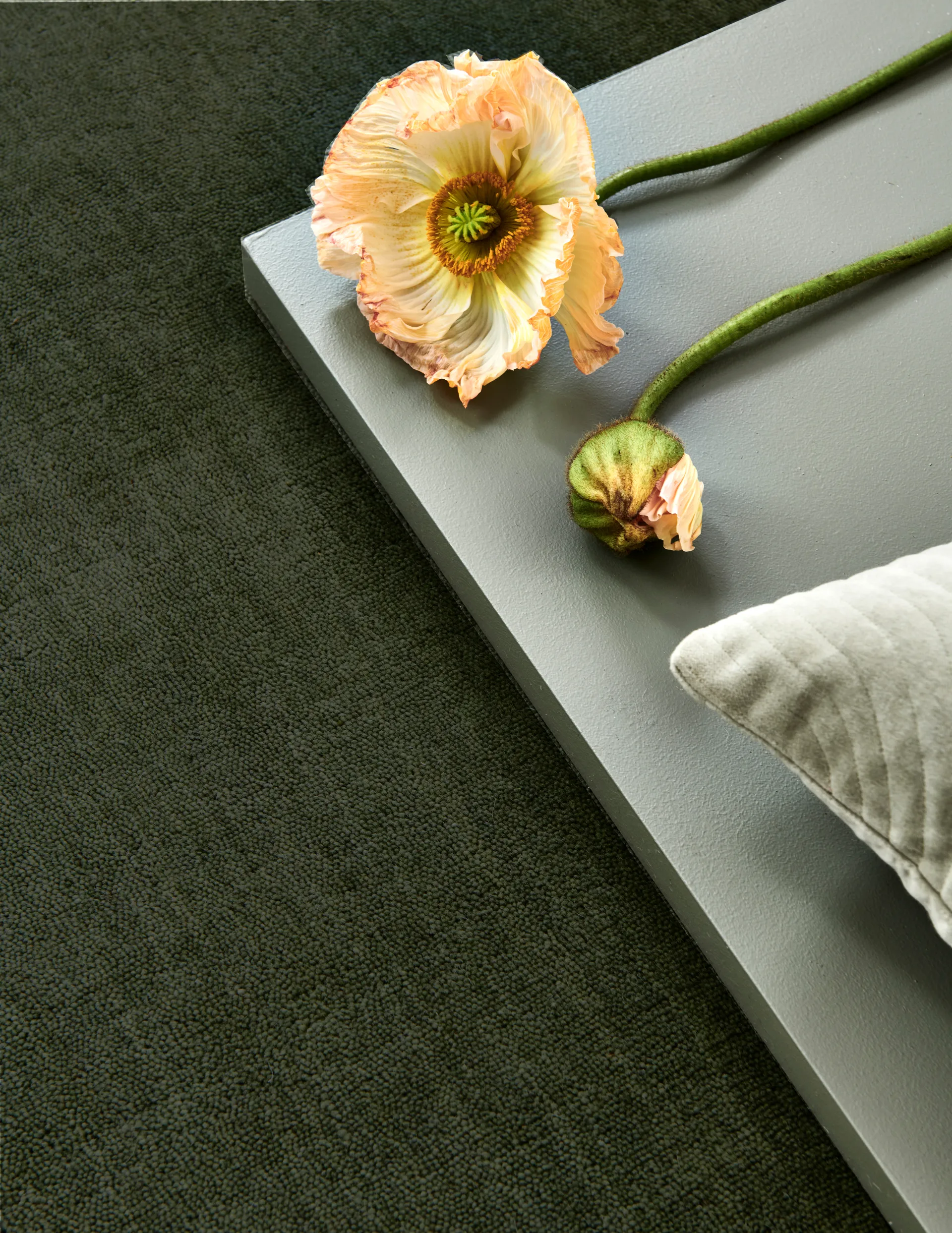 Solid tapete, Verde, 200x300 cm Classic Collection