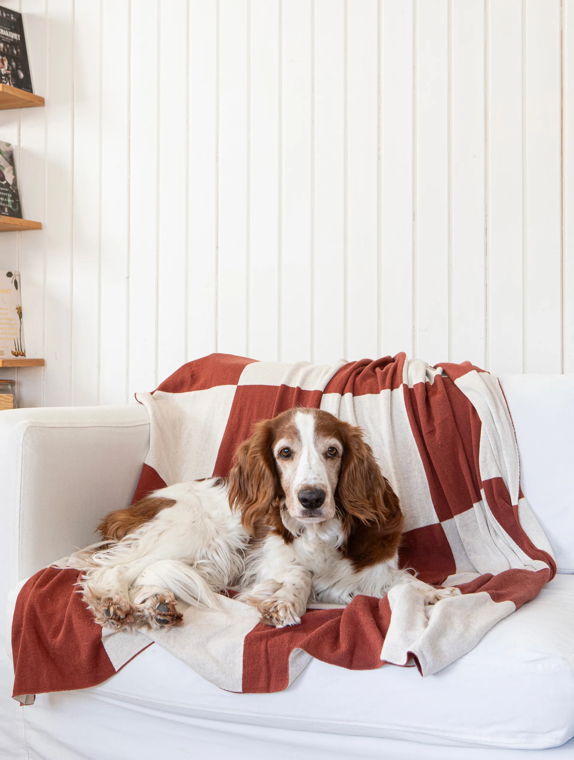 Square manta 130x170 cm, Castanho escuro Classic Collection