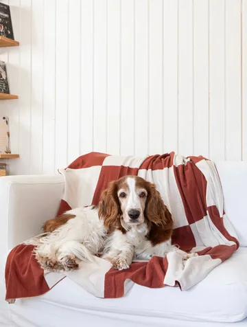 Square manta 130x170 cm - Castanho escuro - Classic Collection