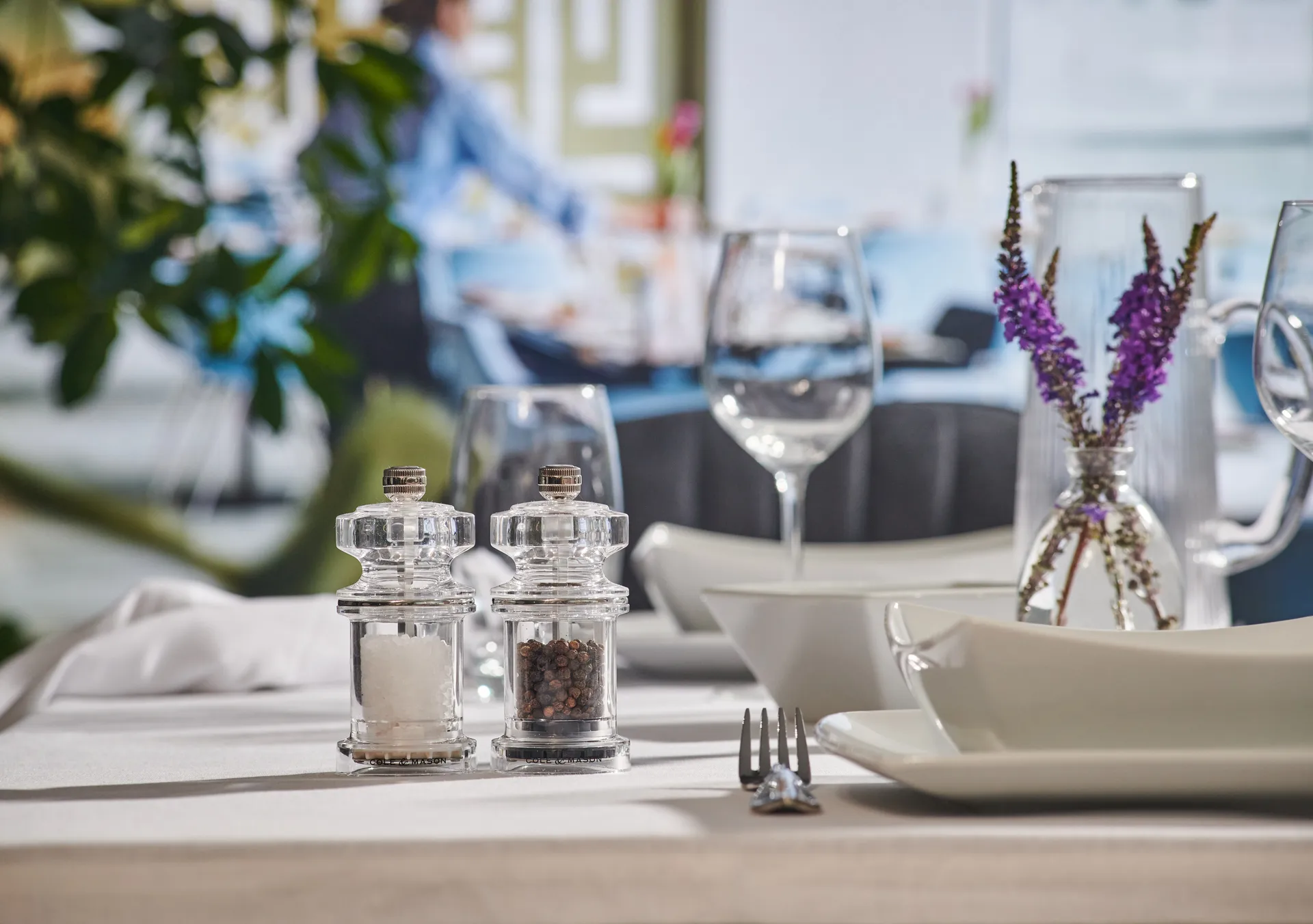 Moinhos de sal e pimenta Cole & Mason 675 11,8 cm, Transparente Cole & Mason