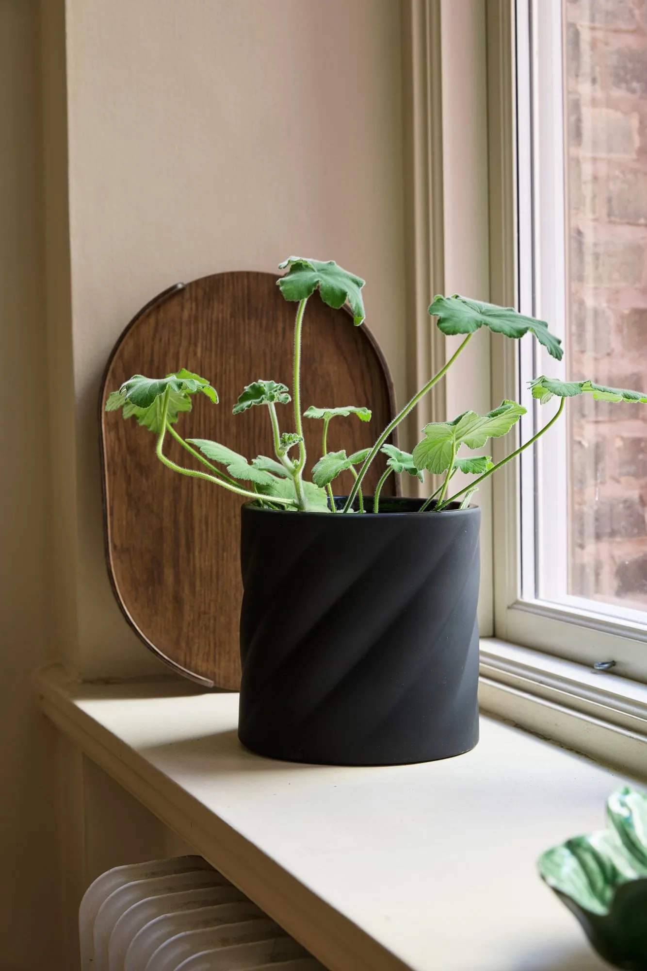 Twist vaso de flores, Black, médio Ø19 cm Cooee Design