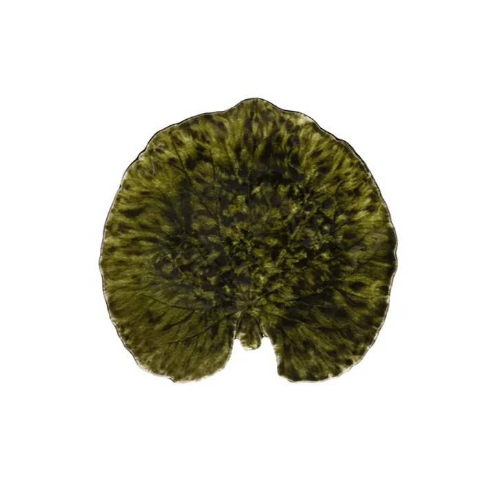 Riviera Alchemille prato - Forest, 18 cm - Costa Nova