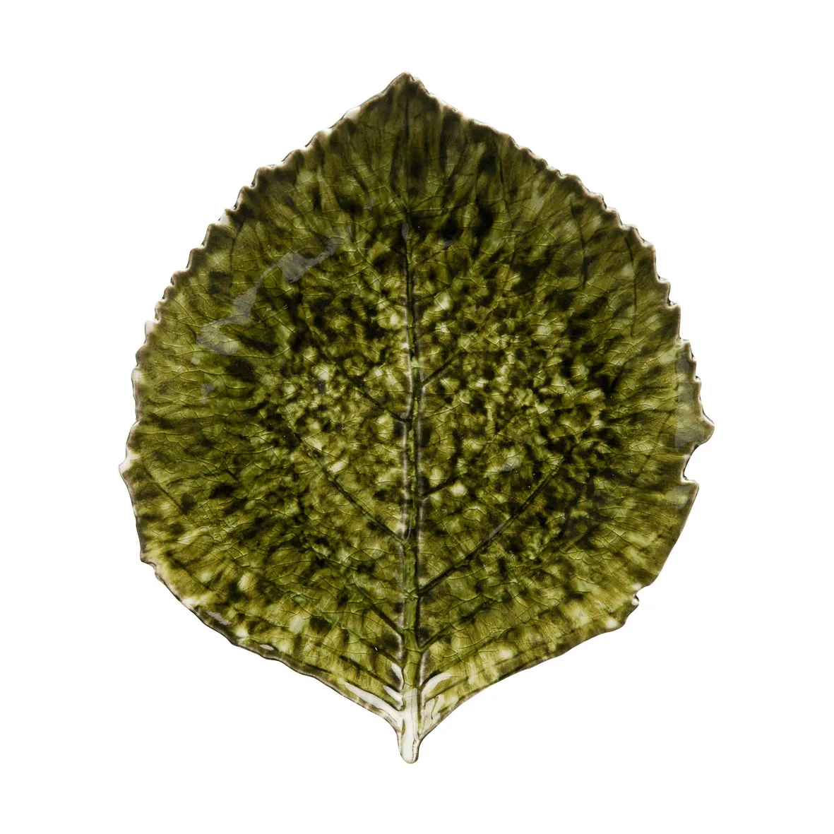 Riviera Hydrangea prato, Forest, 22 cm Costa Nova