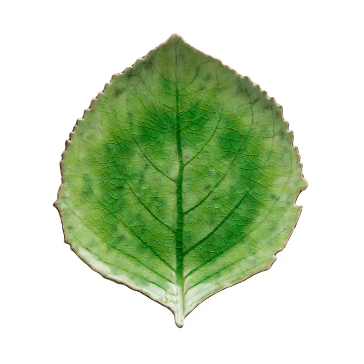 Riviera Hydrangea prato - Tomato, 22 cm - Costa Nova