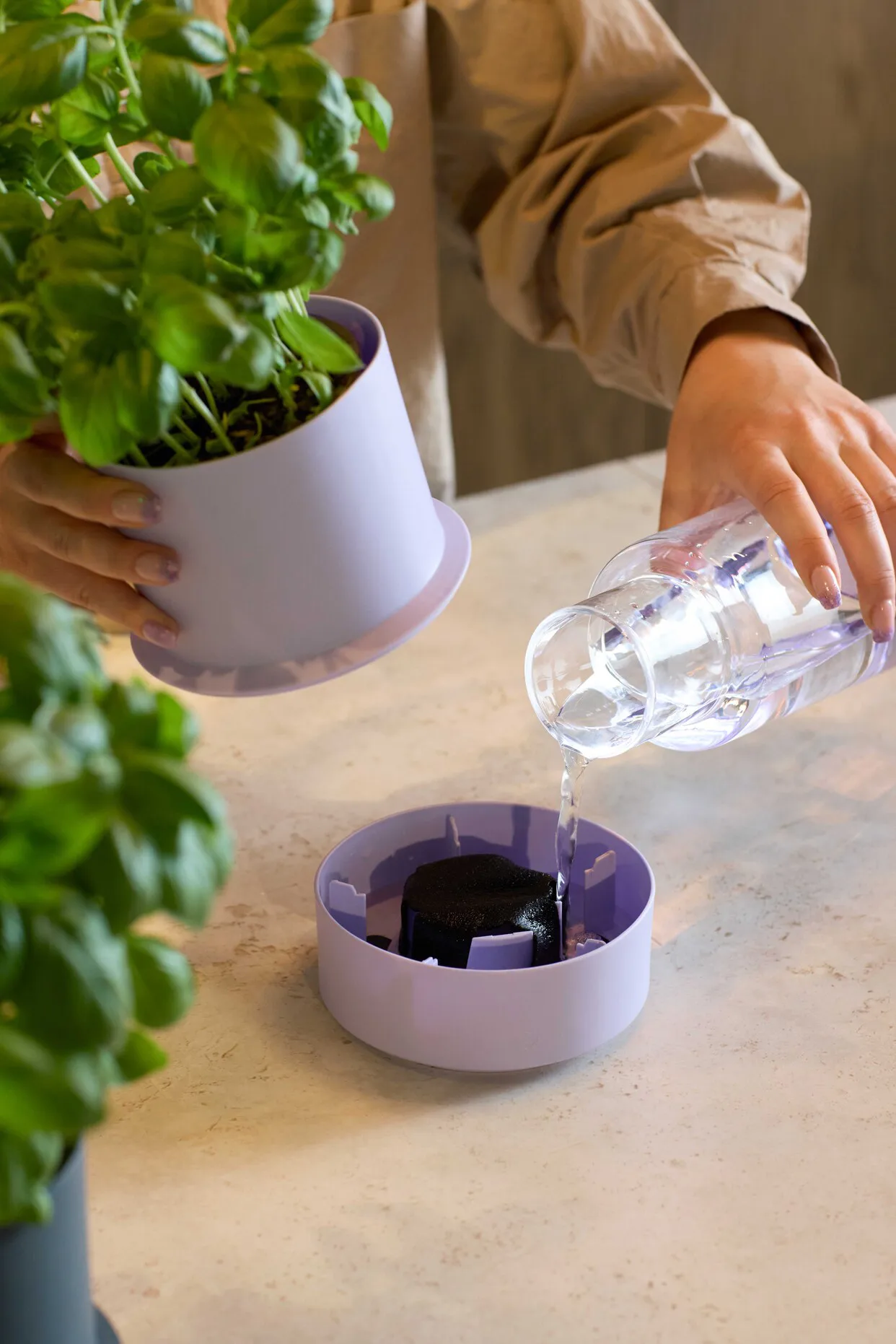 Billund vaso de ervas com autoirrigação, cominhos Crushgrind