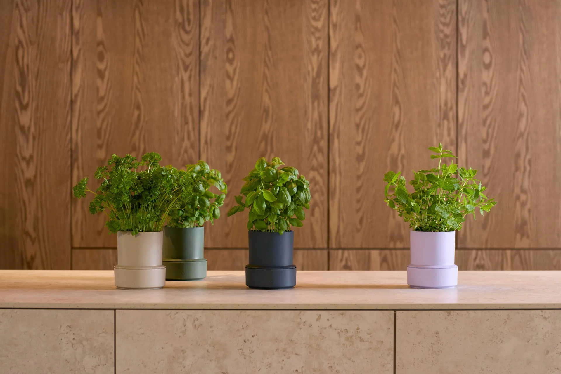 Billund vaso de ervas com autoirrigação, cominhos Crushgrind