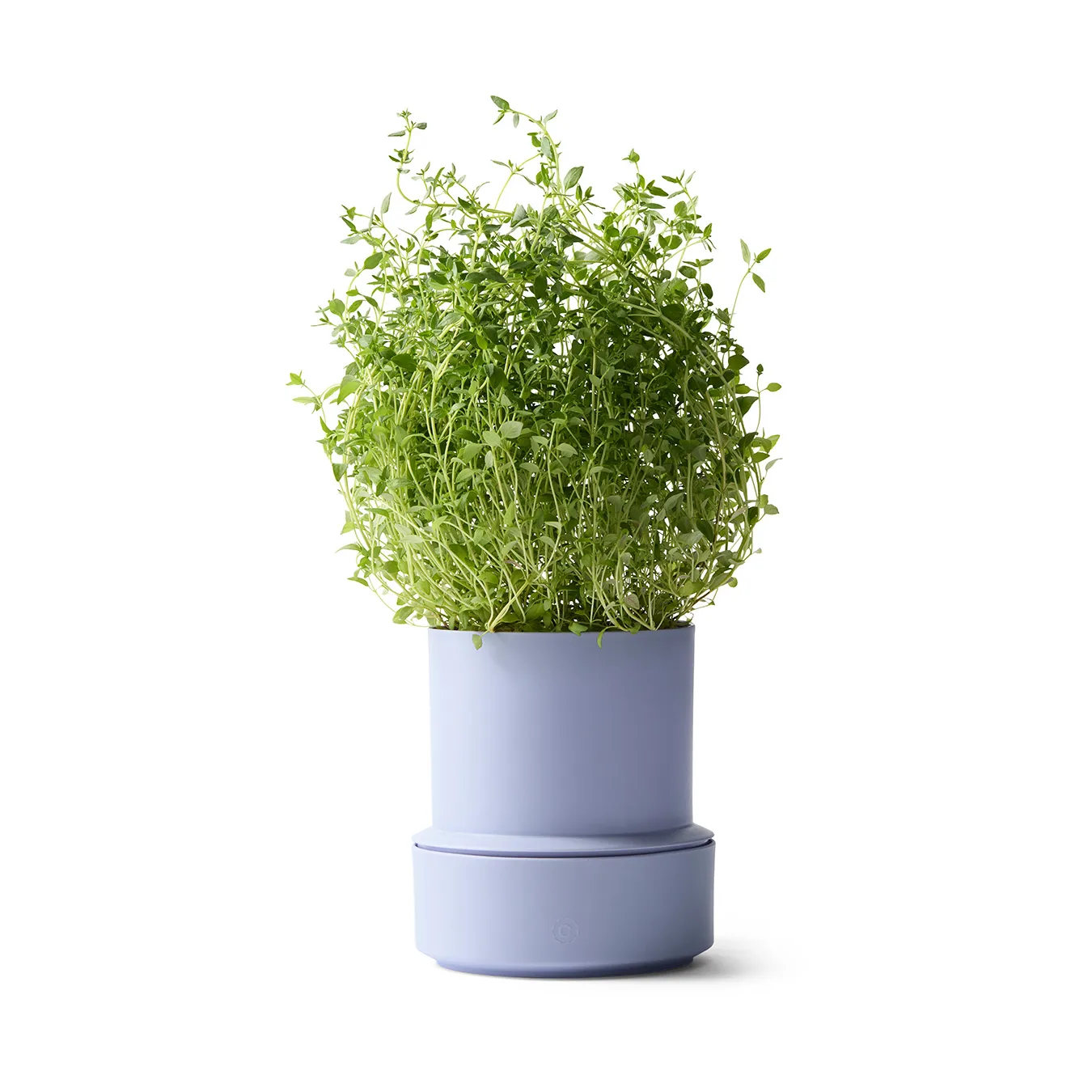 Billund vaso de ervas com autoirrigação, Lavanda Crushgrind