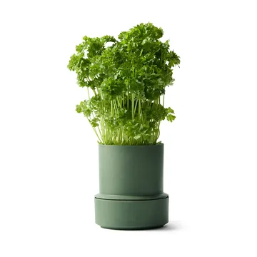 Billund vaso de ervas com autoirrigação - Salsa - Crushgrind