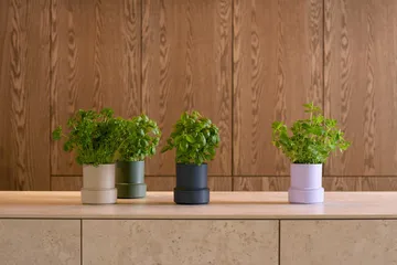 Billund vaso de ervas com autoirrigação - Salsa - Crushgrind