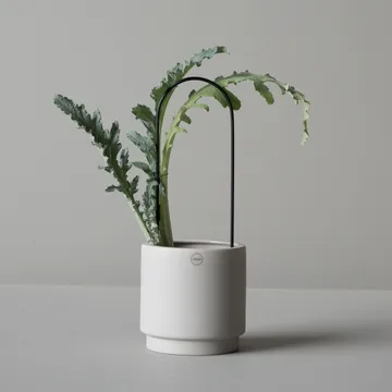 Arco para flores DBKD - Preto - DBKD