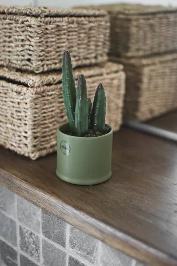 Astillbe vaso - Green, pequeno, Ø7x6 cm - DBKD