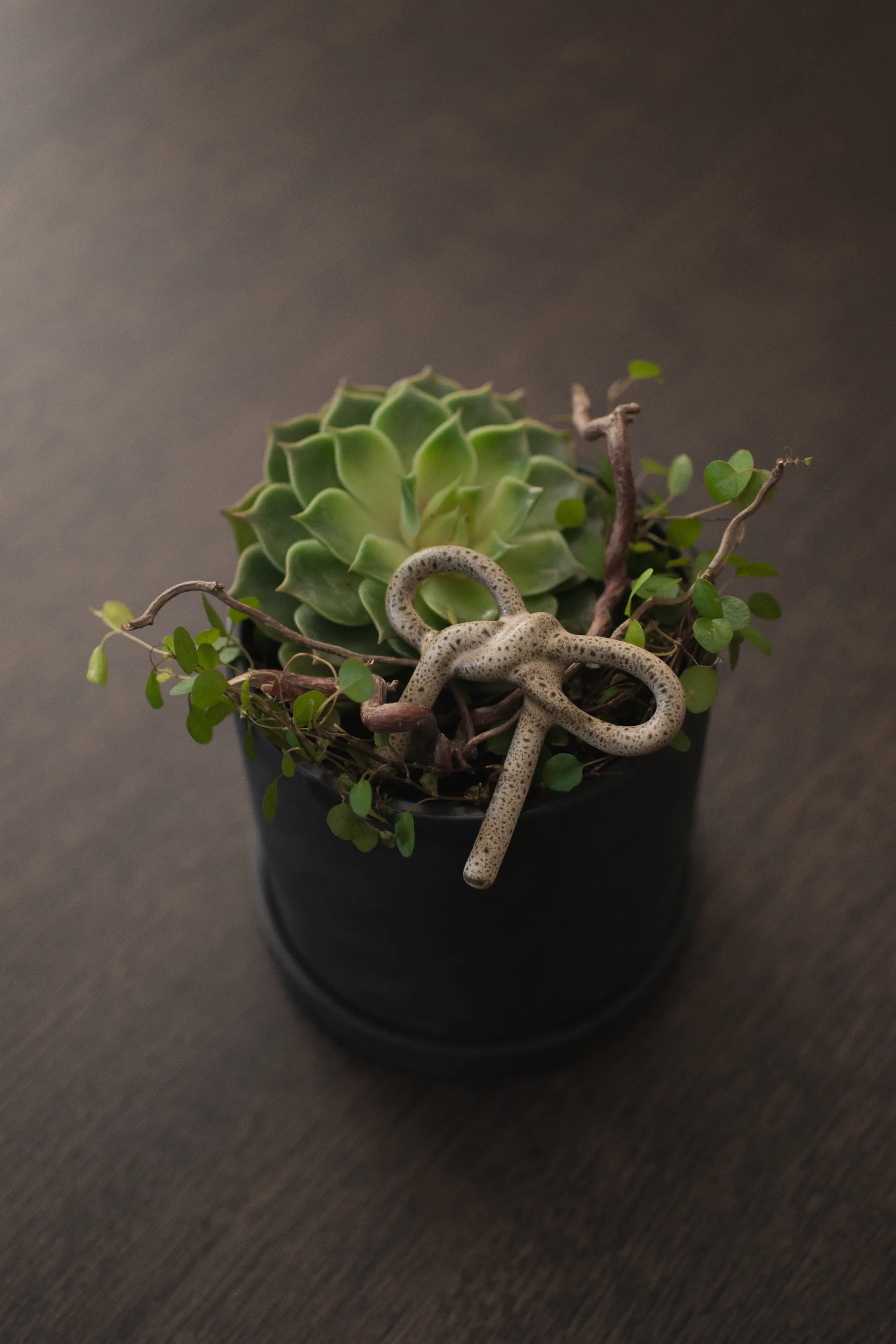 Bow decoração floral , Beige DBKD