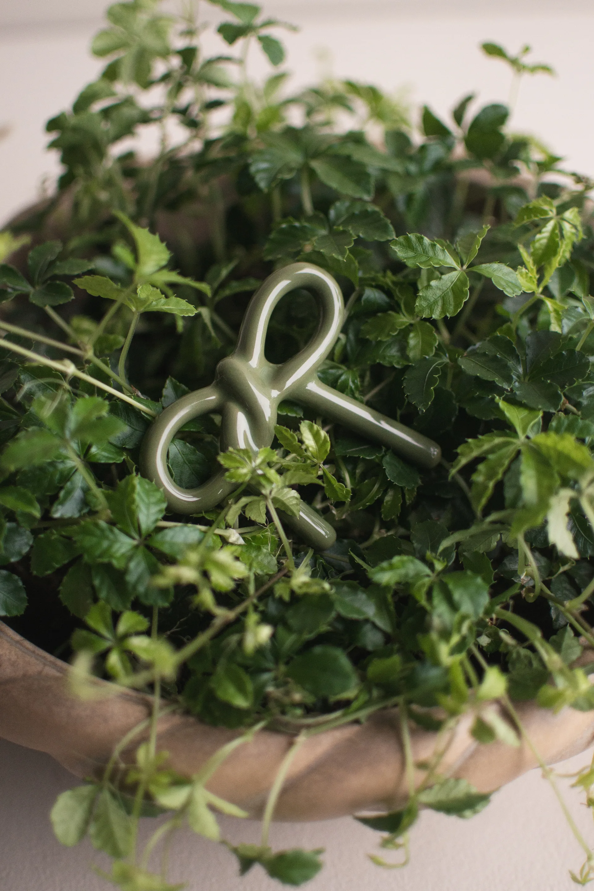 Bow decoração floral , Verde brilhante DBKD