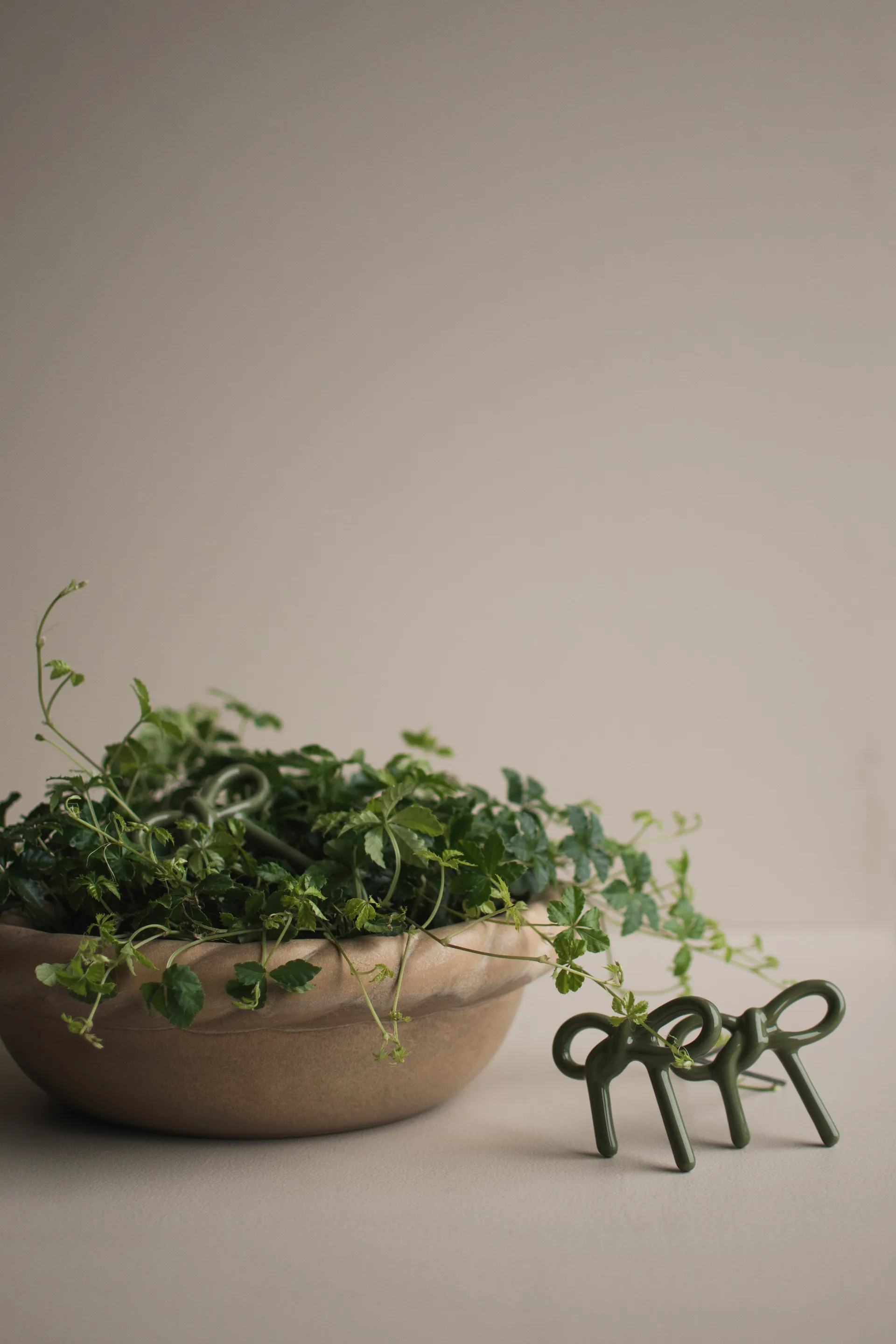 Bow decoração floral , Verde brilhante DBKD