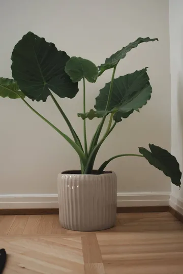 Ease vaso - Mole brilhante, Ø30x28 cm - DBKD