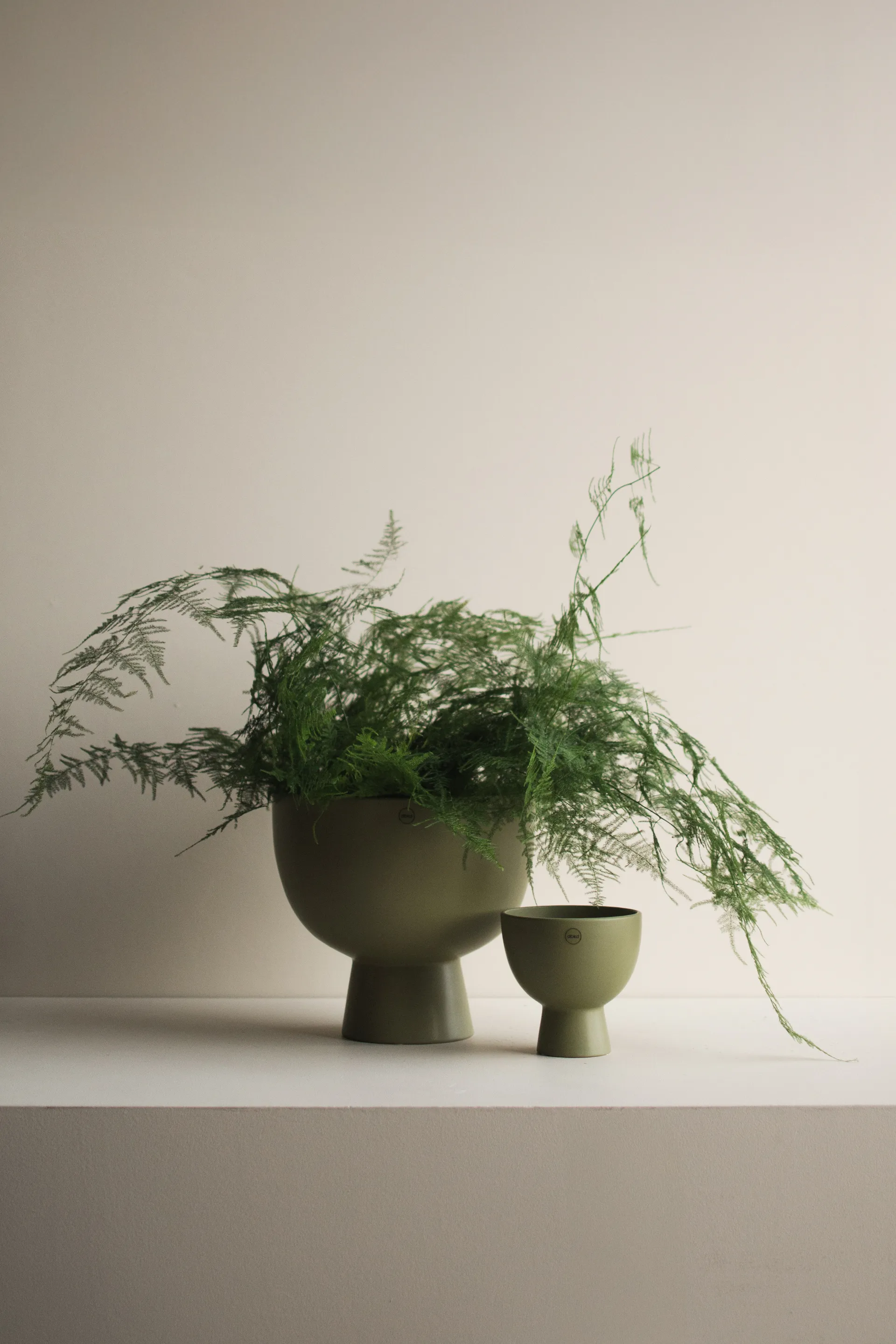 Figure vaso de plantas Ø15 cm, Verde DBKD
