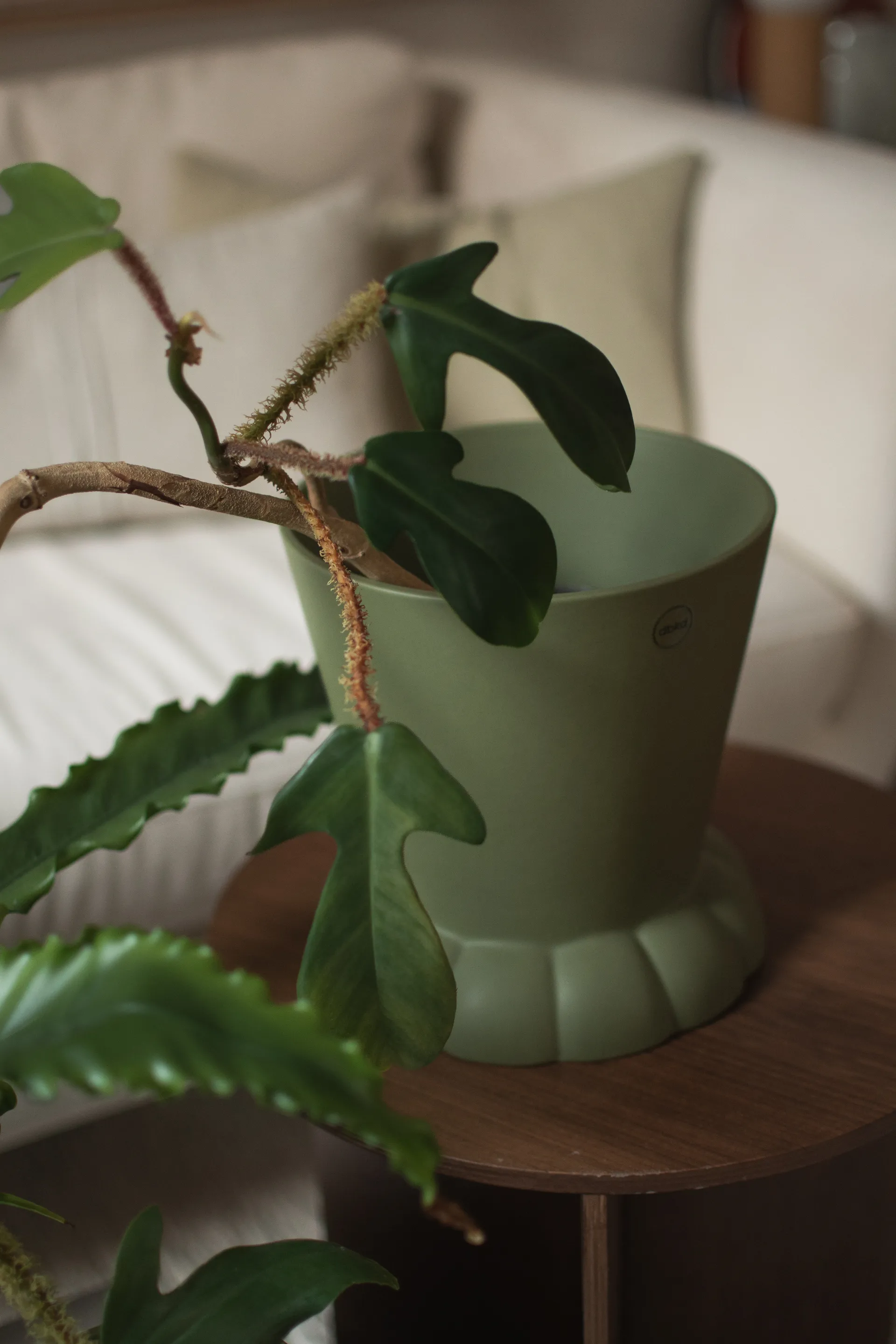 Flora vaso Ø19 cm, Green DBKD