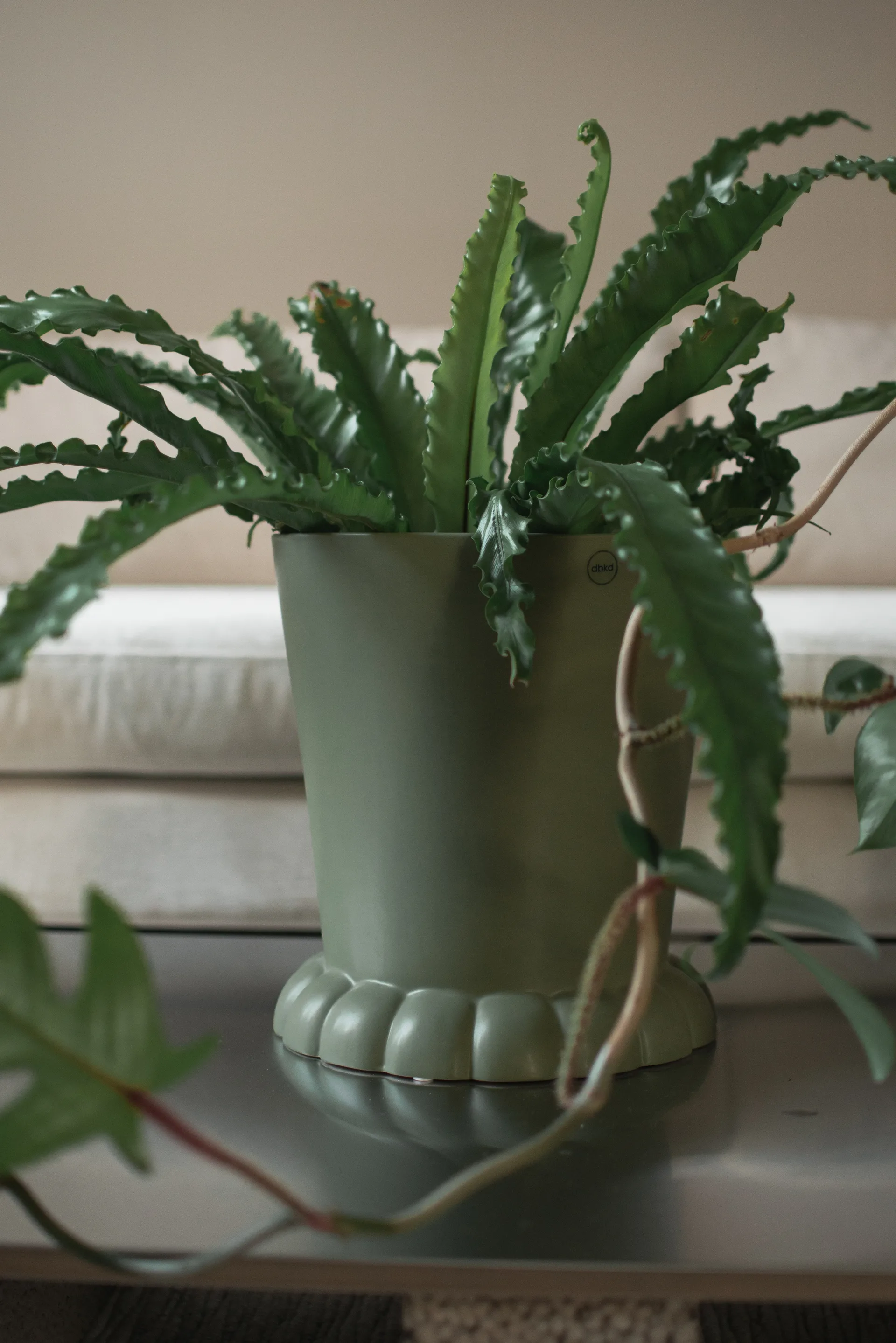 Flora vaso Ø25 cm, Green DBKD