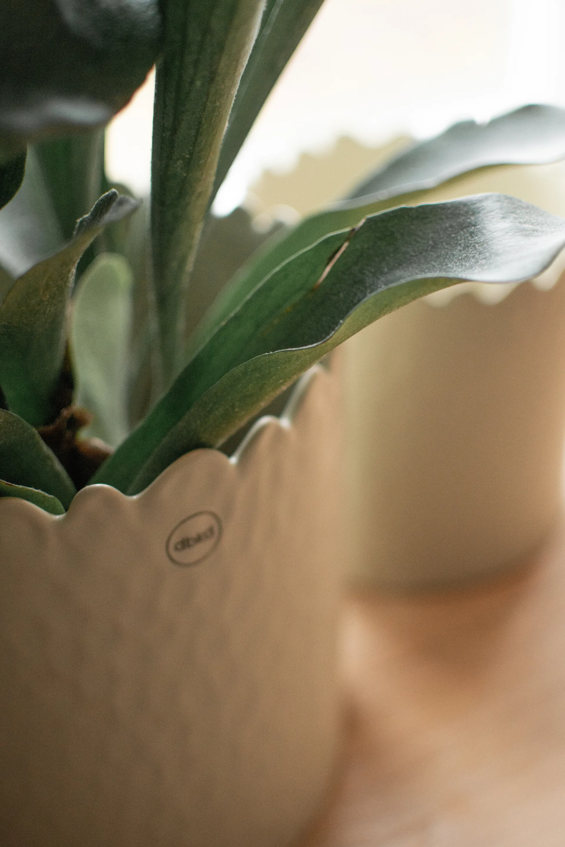 Flowery vaso Ø20 cm, Creme DBKD