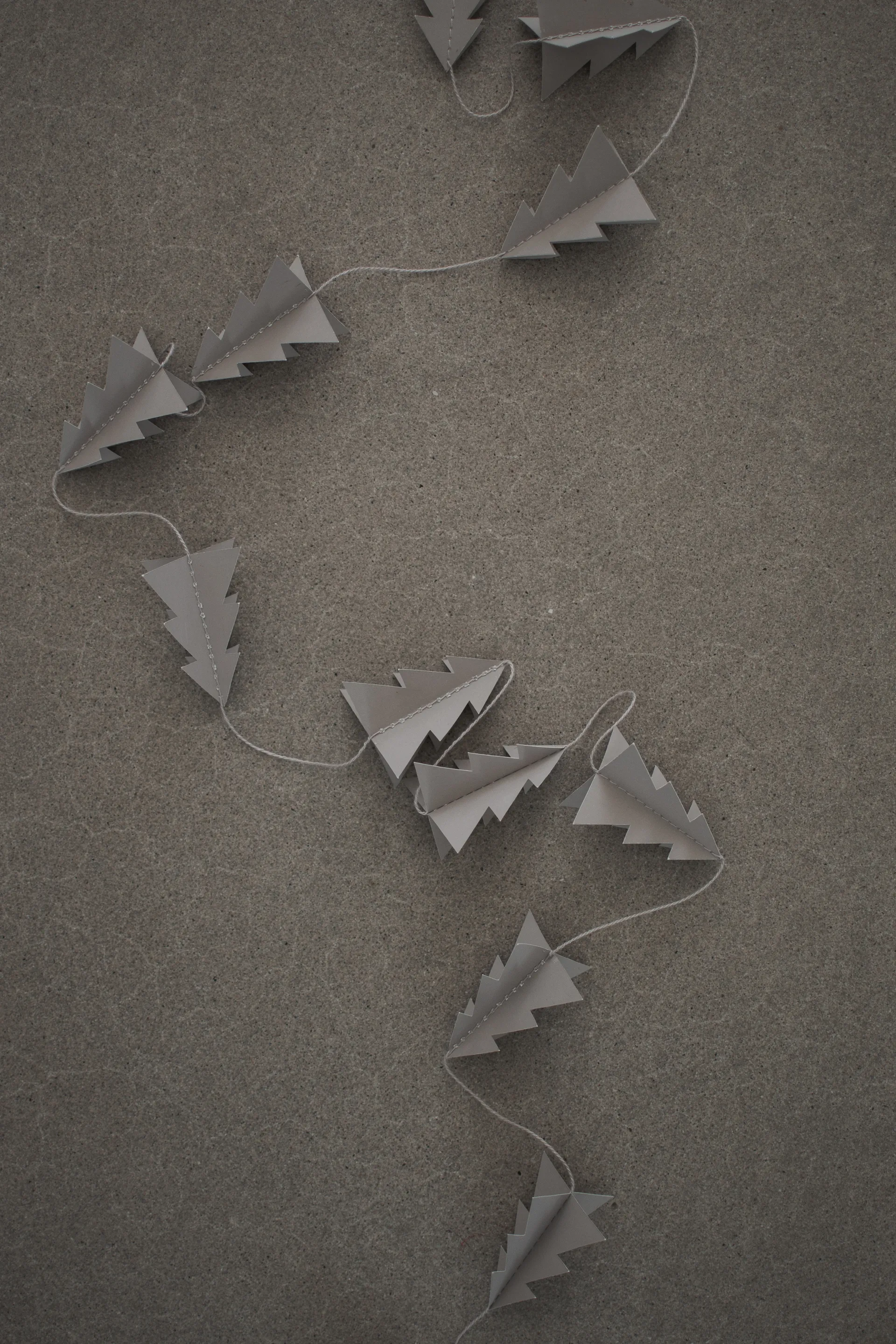 Guirlanda girlang abeto, Mole DBKD