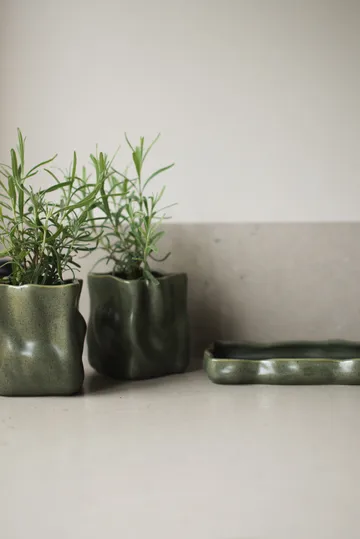 Herb vaso 3 peças - Musgo - DBKD