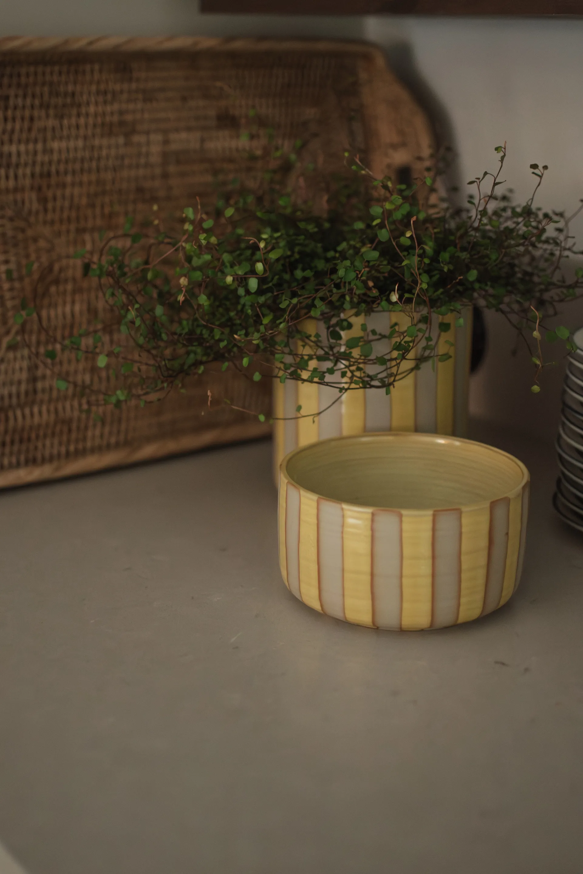 Line taça decorativa Ø16 cm, Amarelo DBKD