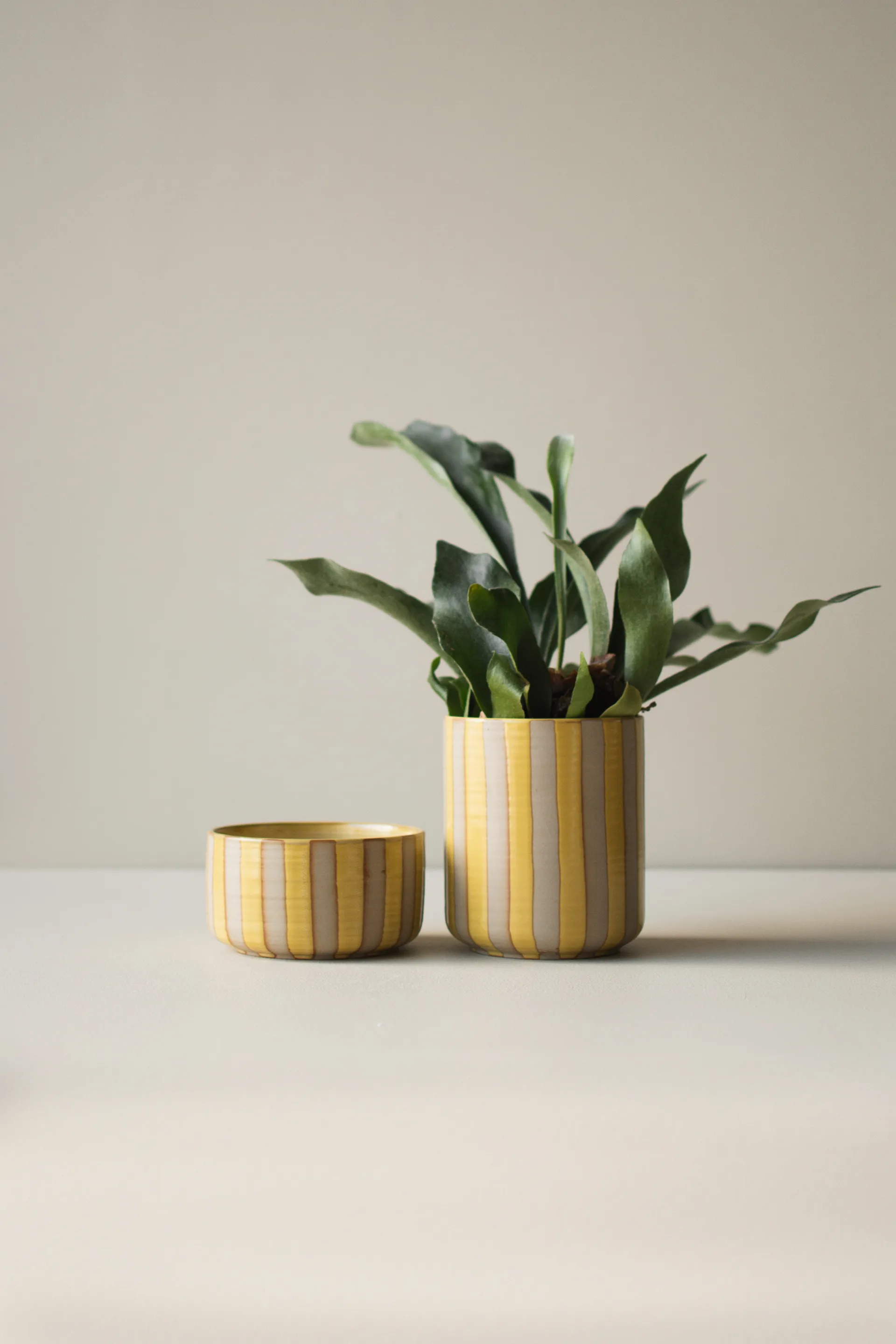 Line vaso  Ø14x16 cm, Amarelo DBKD